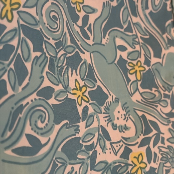 LILLY PULITZER Kiss The Cook Monkey Skort - Picture 2 of 10
